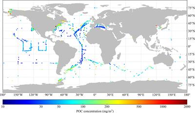 Absorption-based algorithm for satellite estimating the particulate organic carbon concentration in the global surface ocean